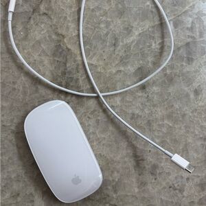 Apple Magic mouse